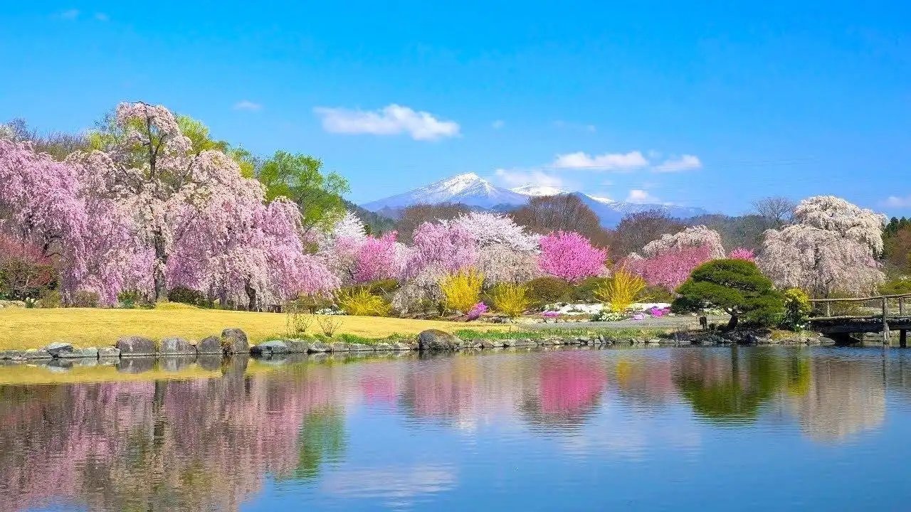 🌸 사계절 마을 공원(시키노사토 코엔) 이미지 1